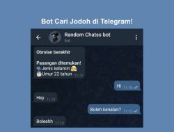 5+ Link ID Bot Anonymous Chat di Telegram Untuk Cari Teman 100% Aman