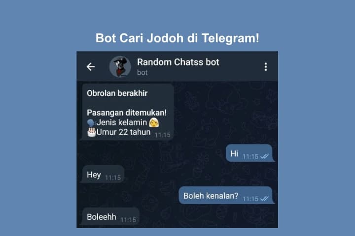 bot anonymous chat telegram untuk mencari jodoh dan teman